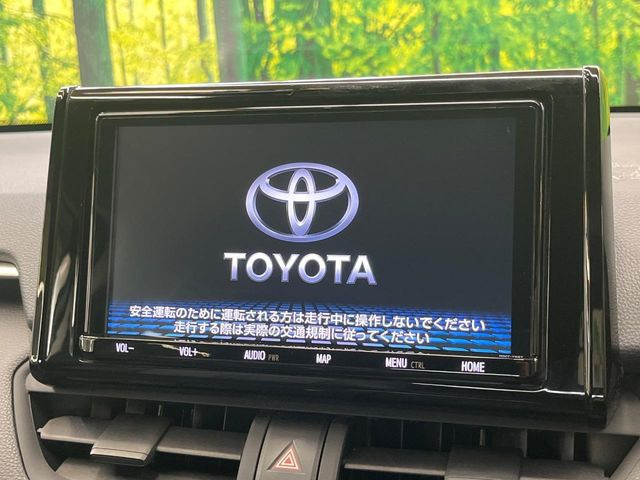RAV42.0 X
