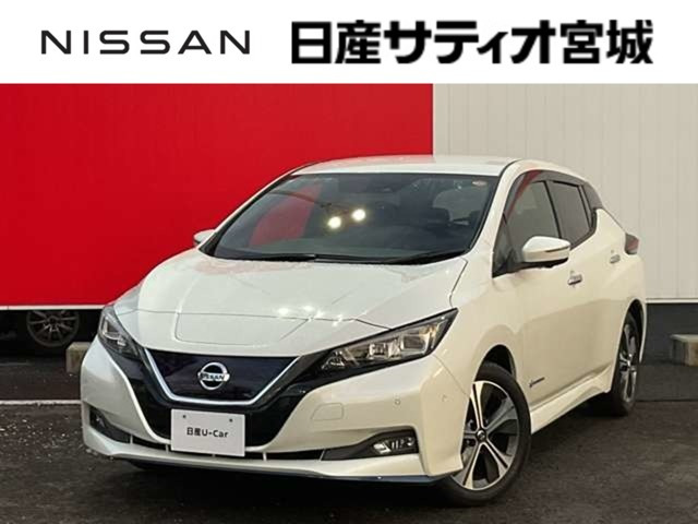 リーフe+ G