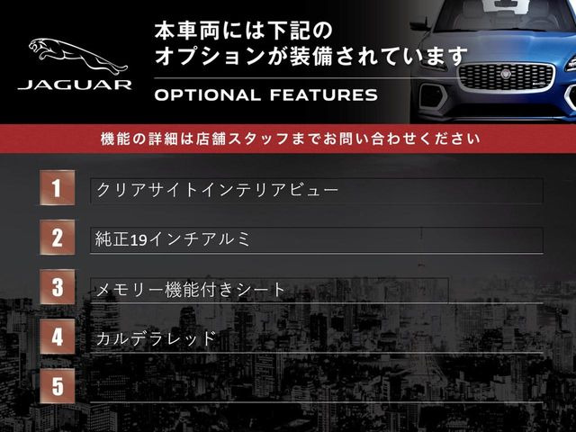 XERダイナミック S 2.0L P250