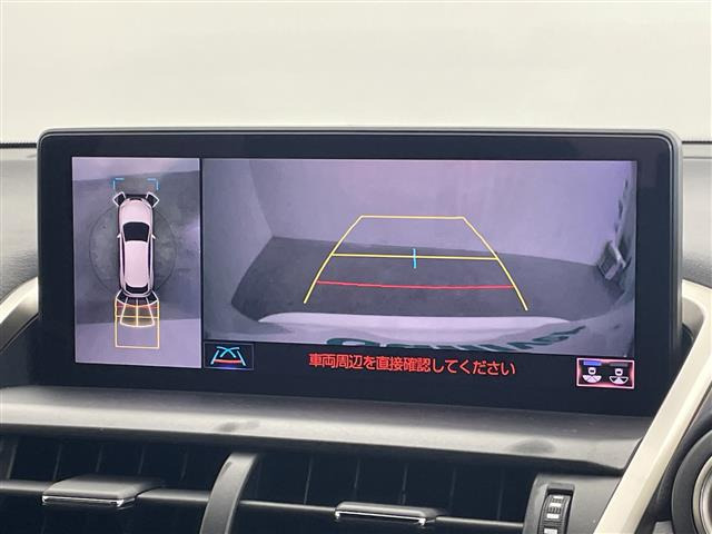 NX300h クール&amp;ブライト