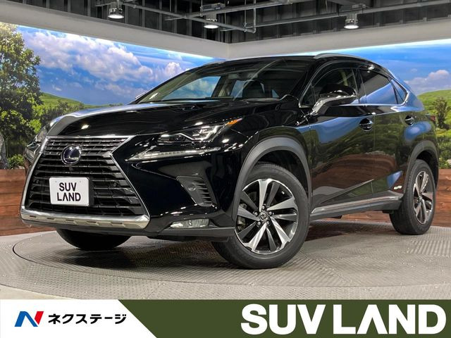NX300h Iパッケージ