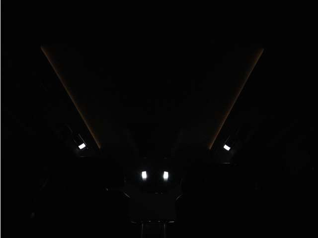 夜間に室内を照らしてくれるルームライトです♪♪