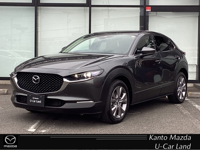 CX-302.0 20S プロアクティブ