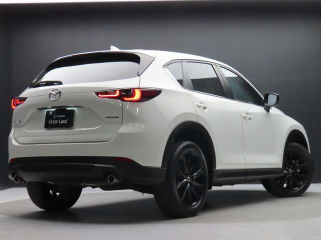 CX-52.0 20S ブラックトーンエディション
