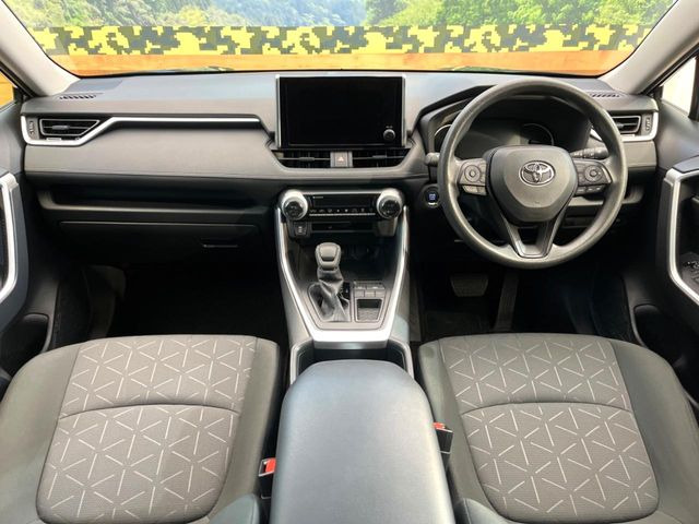 RAV42.0 X