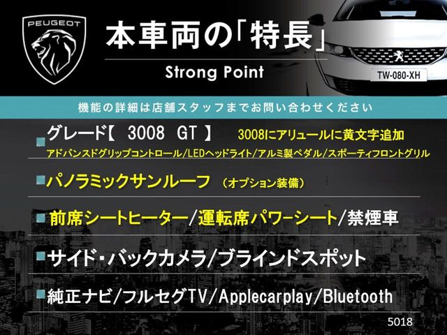 3008GT