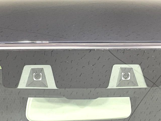 ハスラータフワイルド