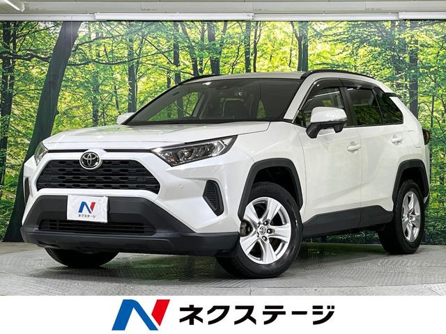 RAV42.0 X