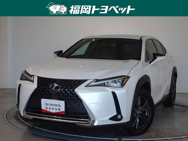 UX250h バージョンC