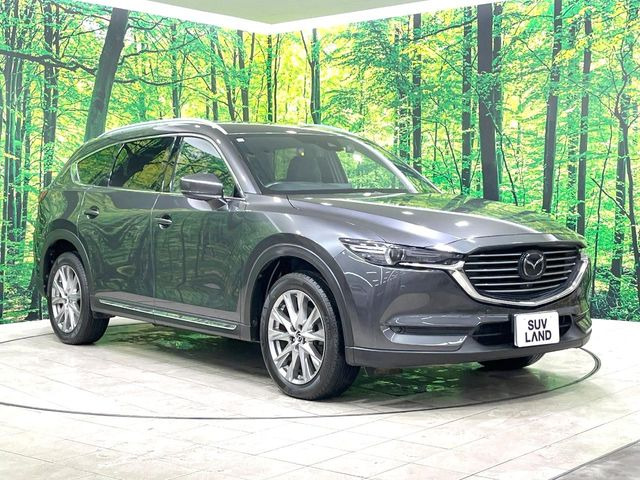 高透明度のガラス皮膜で撥水はもちろん、上質なツヤ・光沢を実現。紫外線や酸性雨から大切な愛車を保護し、色あせ・劣化を防止。「弾スプラッシュコート」、「弾プリミッサコート」からお選びいただけます。