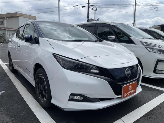 リーフe+ X
