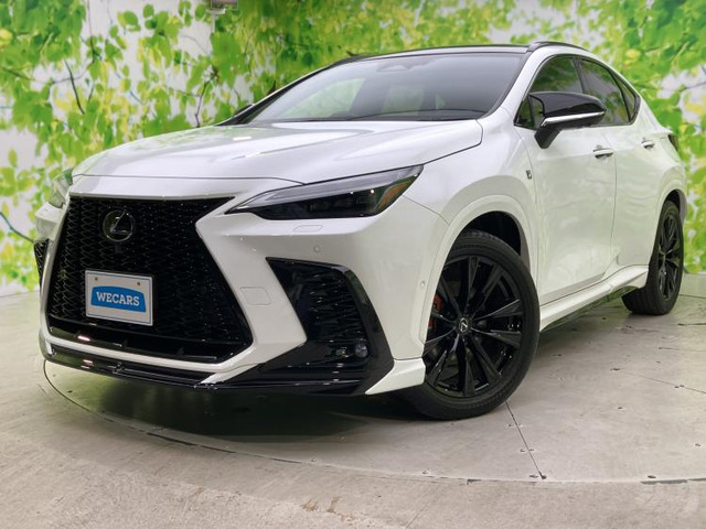 NX350h Fスポーツ