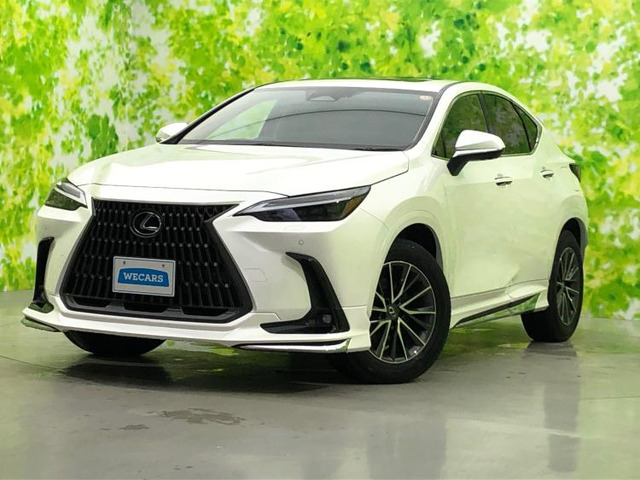 NX250 バージョンL