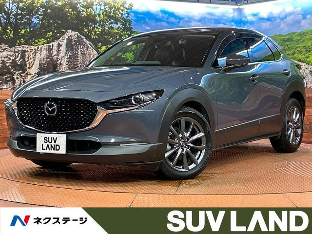 CX-301.8 XD Lパッケージ