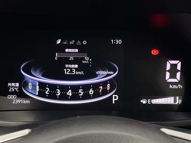 ライズ1.0 Z