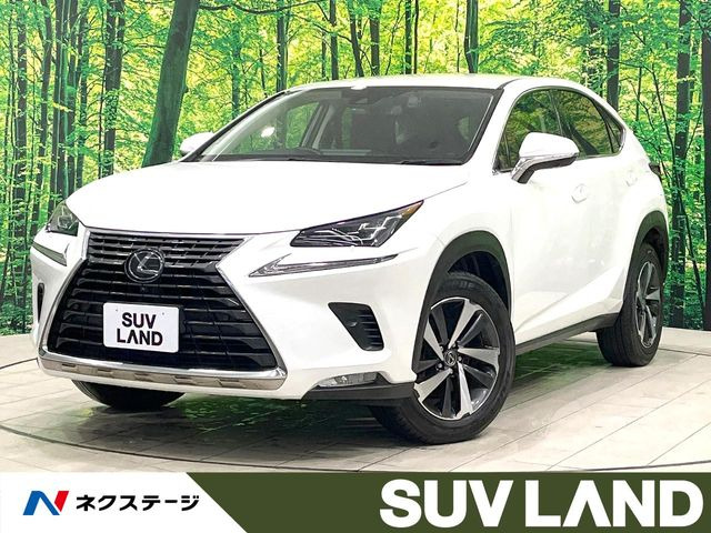 NX200t Iパッケージ