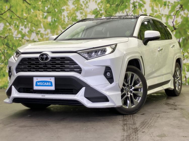 RAV42.0 G Zパッケージ 4WD