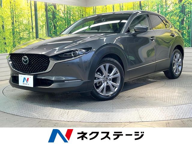 CX-301.8 XD Lパッケージ