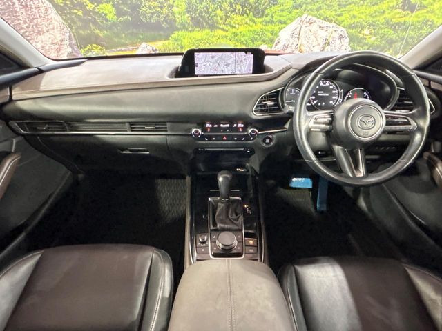CX-301.8 XD Lパッケージ