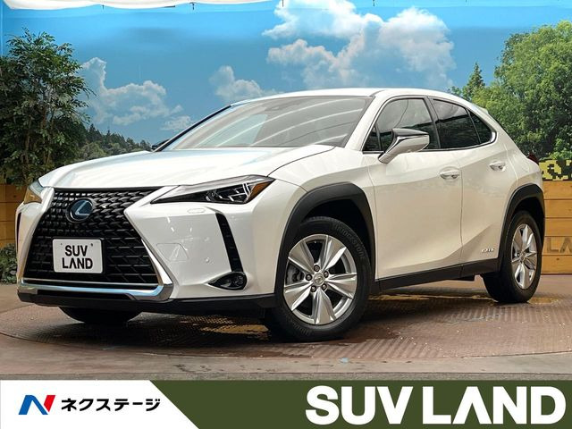 UX250h バージョンC