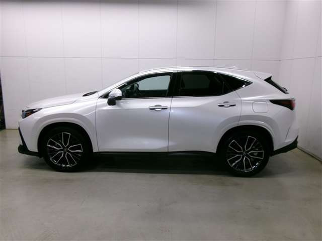 NX350h バージョンL