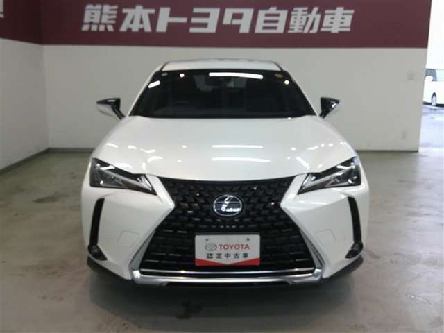 UX250h バージョンC