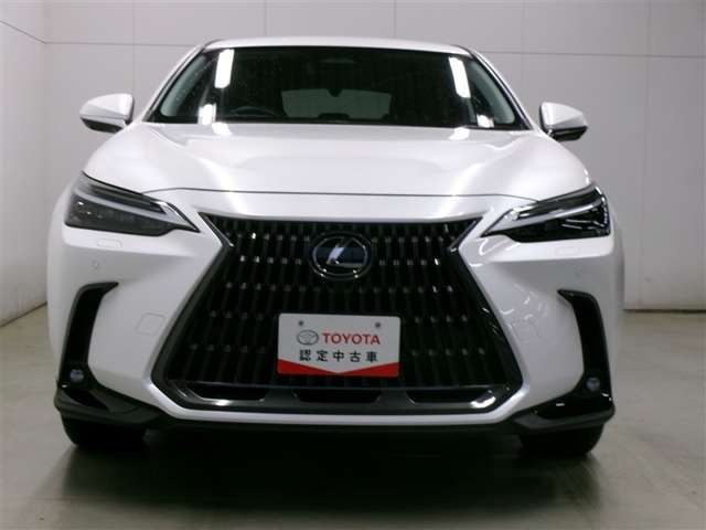 NX350h バージョンL