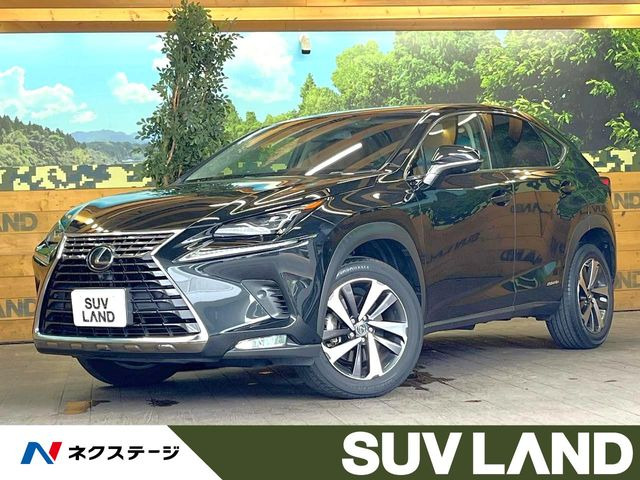 NX300h バージョンL