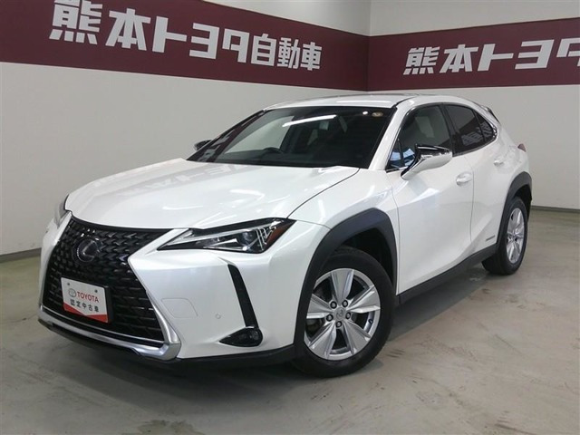 UX250h バージョンC