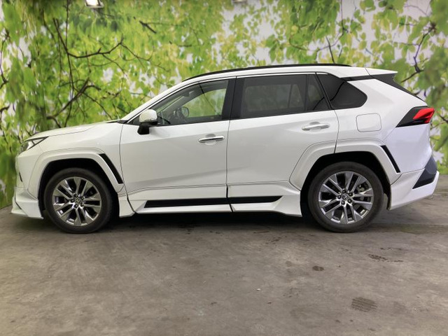 RAV42.0 G Zパッケージ 4WD