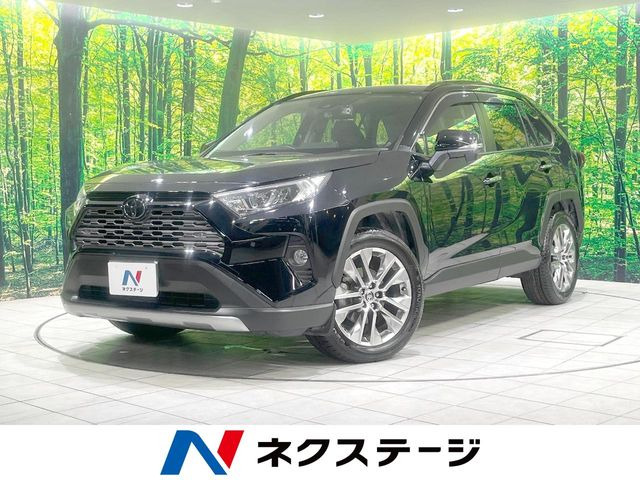 RAV42.0 G Zパッケージ 4WD