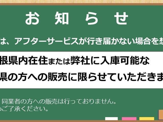 キャストスタイル X SAIII