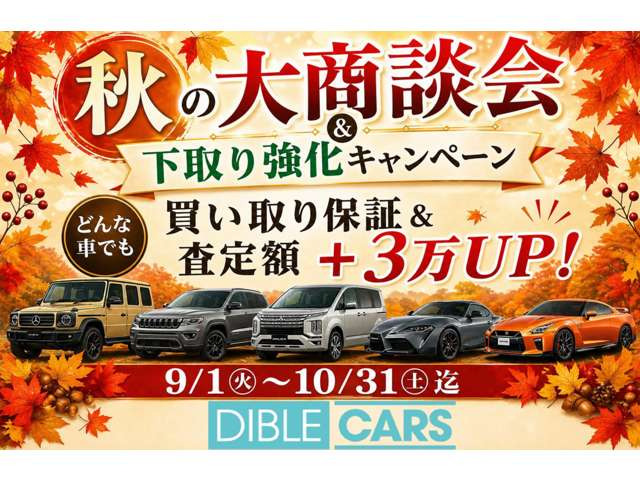 デリカD:52.2 D パワーパッケージ 4WD