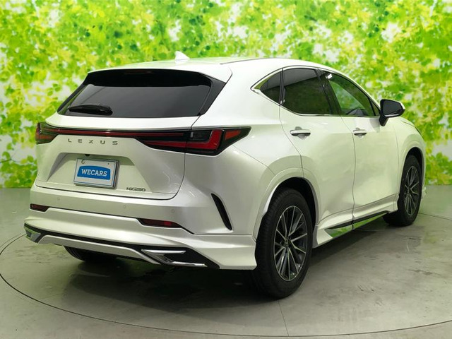 NX250 バージョンL