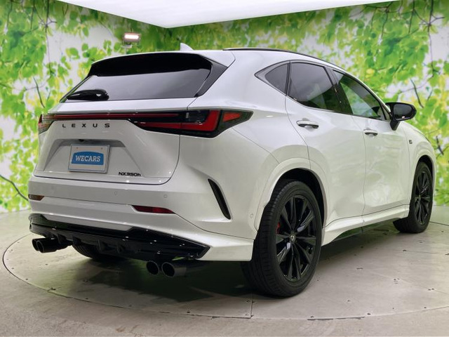 NX350h Fスポーツ