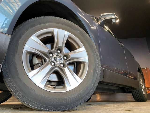 ����17�C���`�A���~�z�C�[��!�A���~�̃R�[�e�B���O��������܂�!���ꂪ���ȃA���~�z�C�[�������S�ł�!!