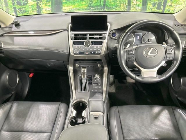 NX300h バージョンL