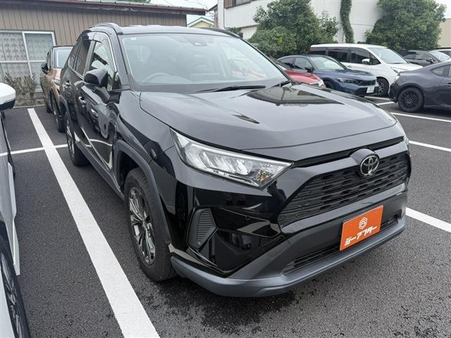 RAV42.0 X