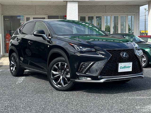 NX300h Fスポーツ