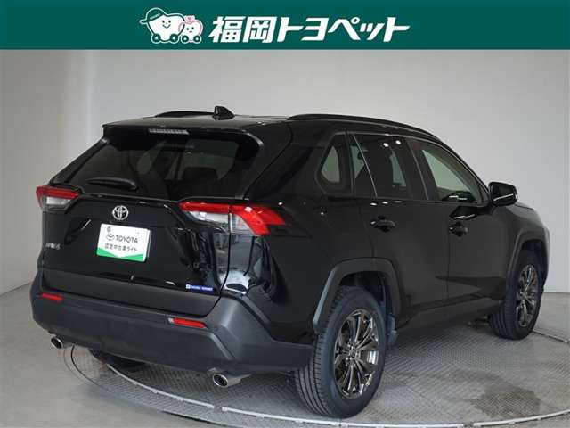 RAV42.0 X