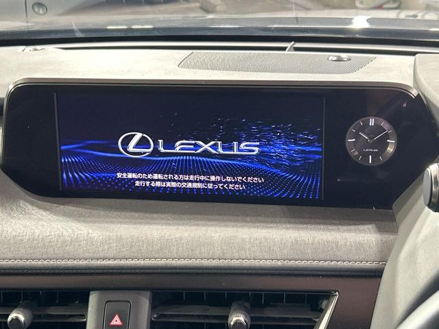 UX250h