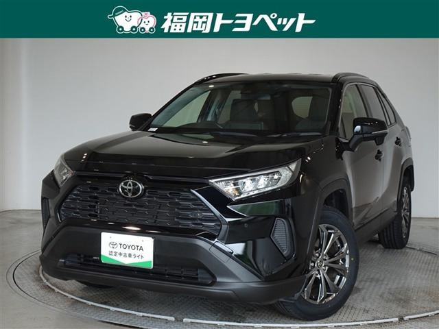 RAV42.0 X