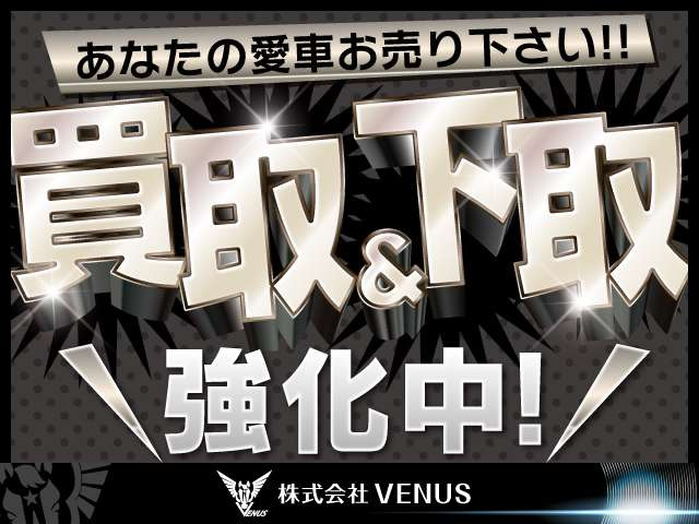 アイシス2.0 プラタナ 4WD