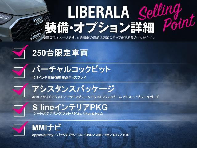 A1スポーツバックシティカーバー リミテッド エディション