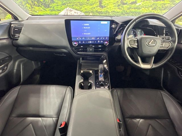 NX250 バージョンL