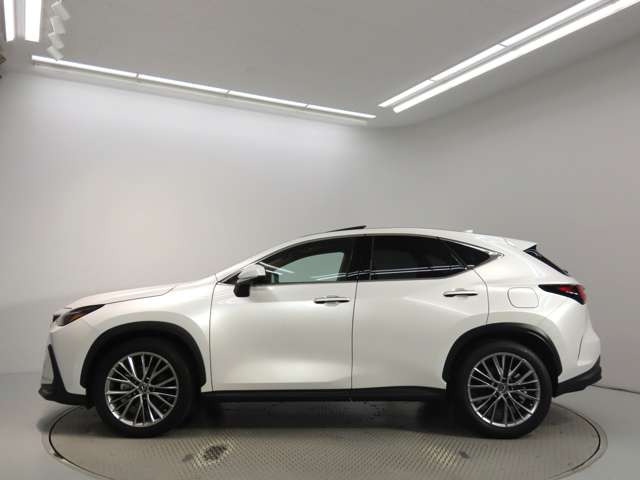 NX350h バージョンL