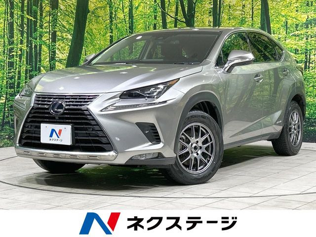 NX300h バージョンL