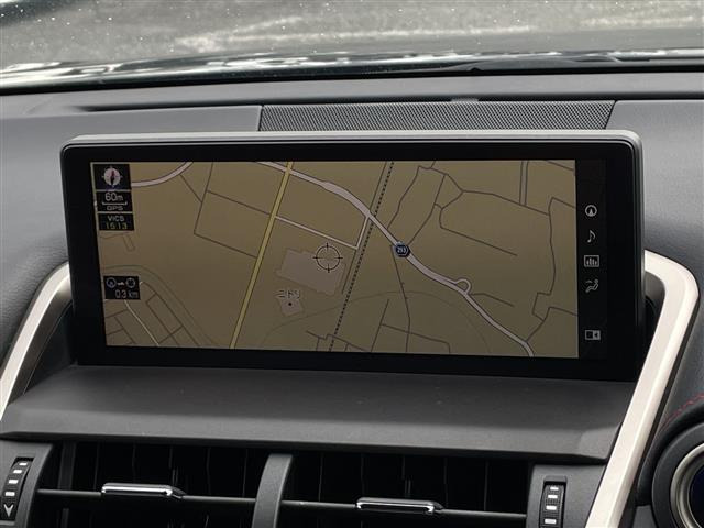 NX300h Fスポーツ