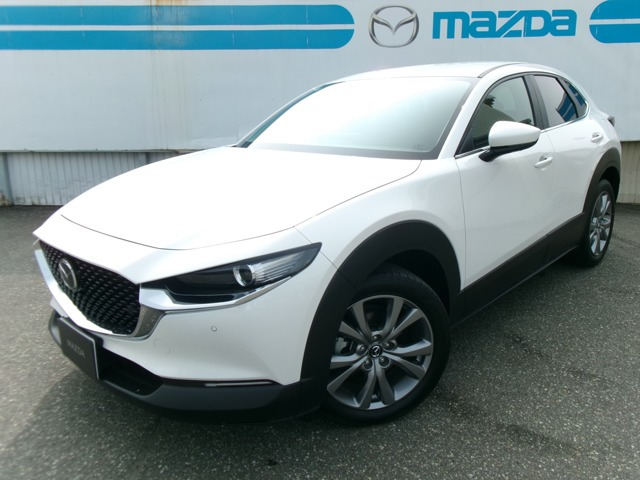 CX-302.0 20S i セレクション 4WD