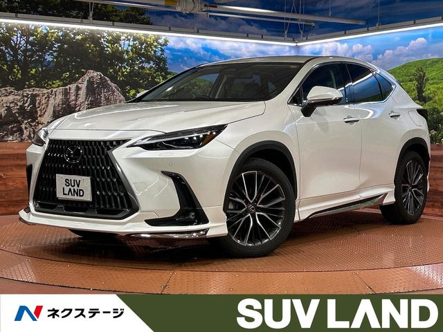 NX250 バージョンL